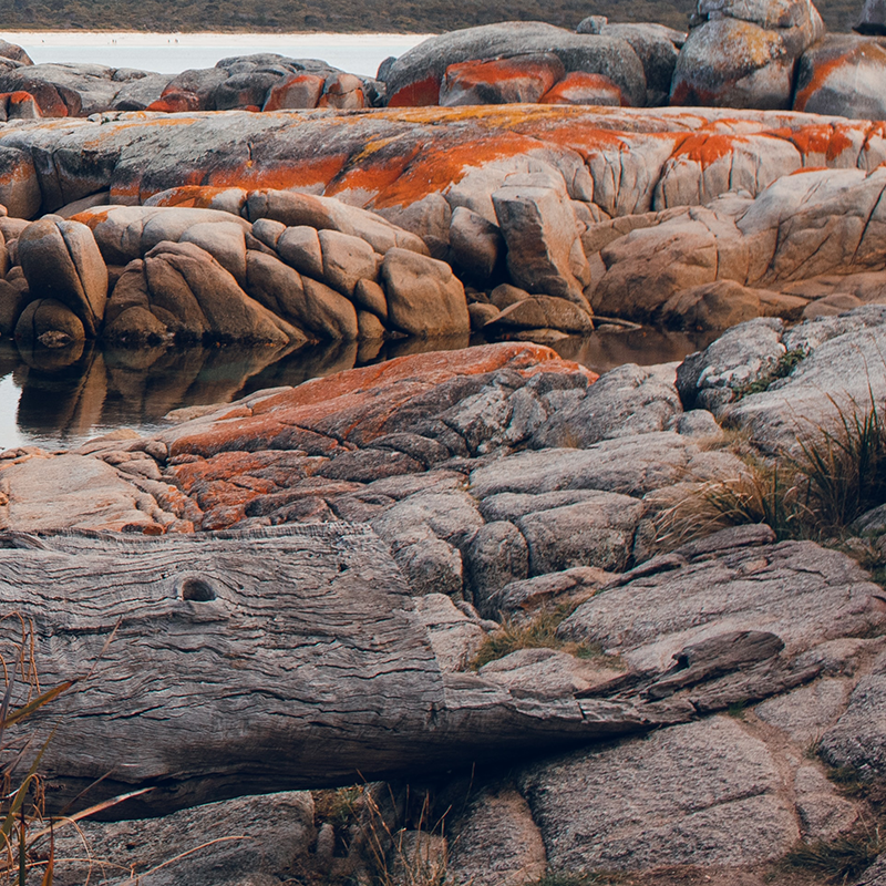 Bay of Fires | Tasmania