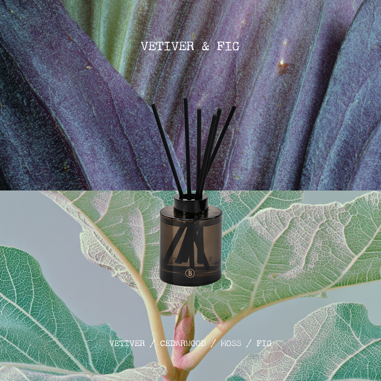 Vetiver & Fig Reed Diffuser