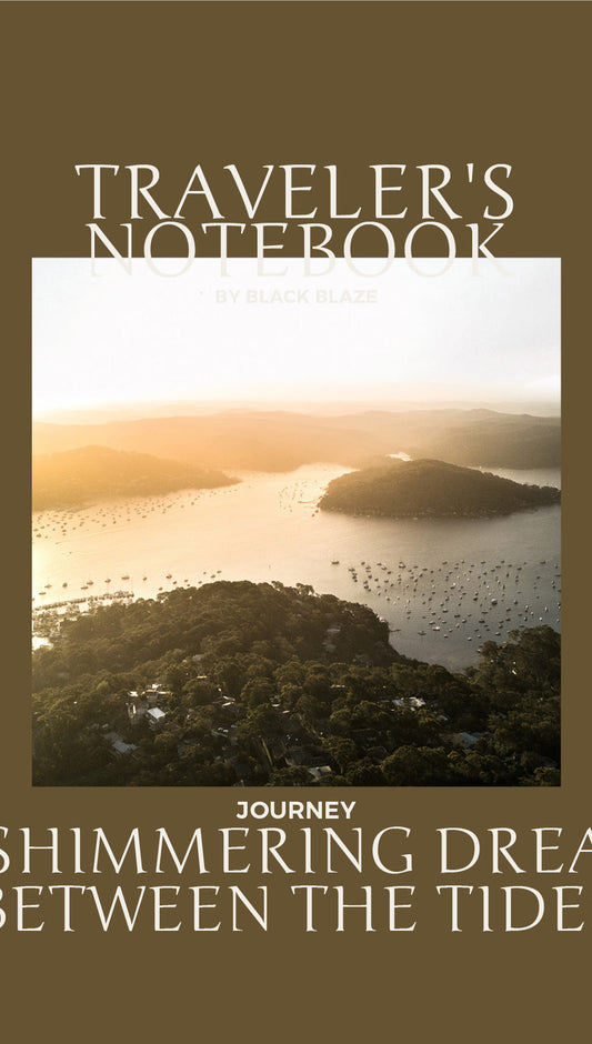 Palm Beach A Shimmering Dream Between the Tides BLACK BLAZE