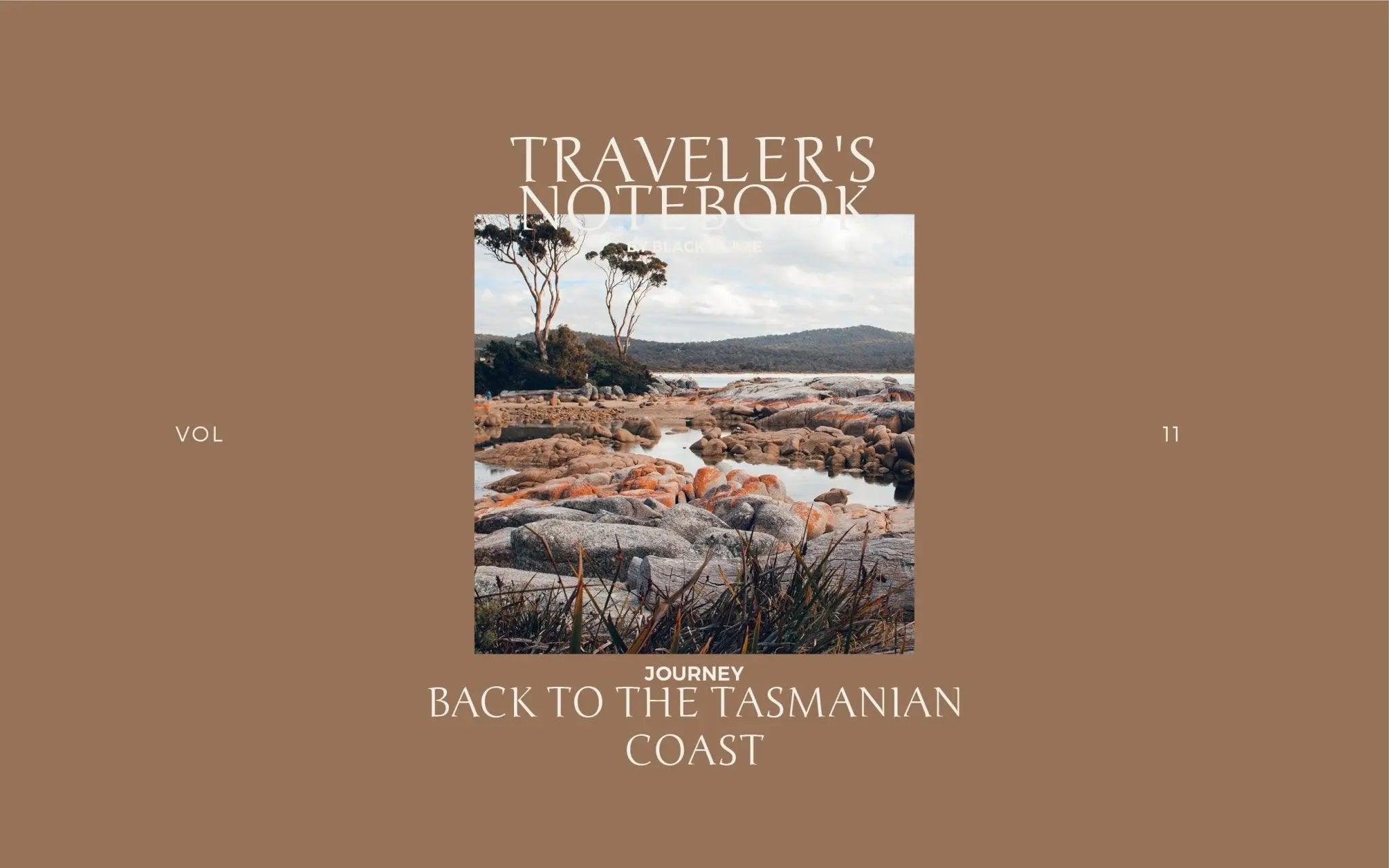 Back to the Tasmanian Coast - BLACK BLAZE