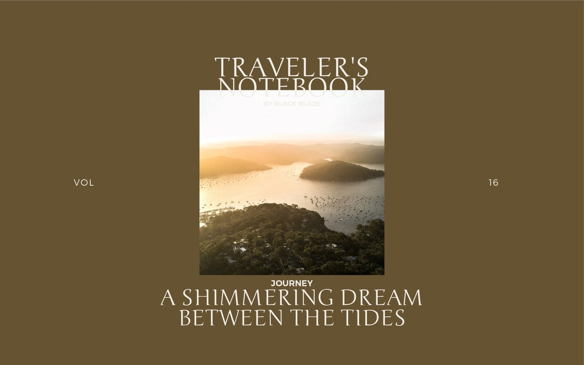 Palm Beach: A Shimmering Dream Between the Tides - BLACK BLAZE