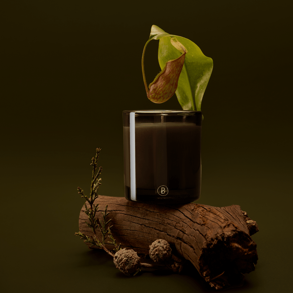 A New Chapter in Home Fragrance – BLACK BLAZE
