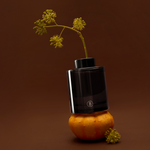 Clary Sage Reed Diffuser