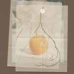 Rainveil Scented Incense