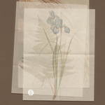 Skinwood Scented Incense