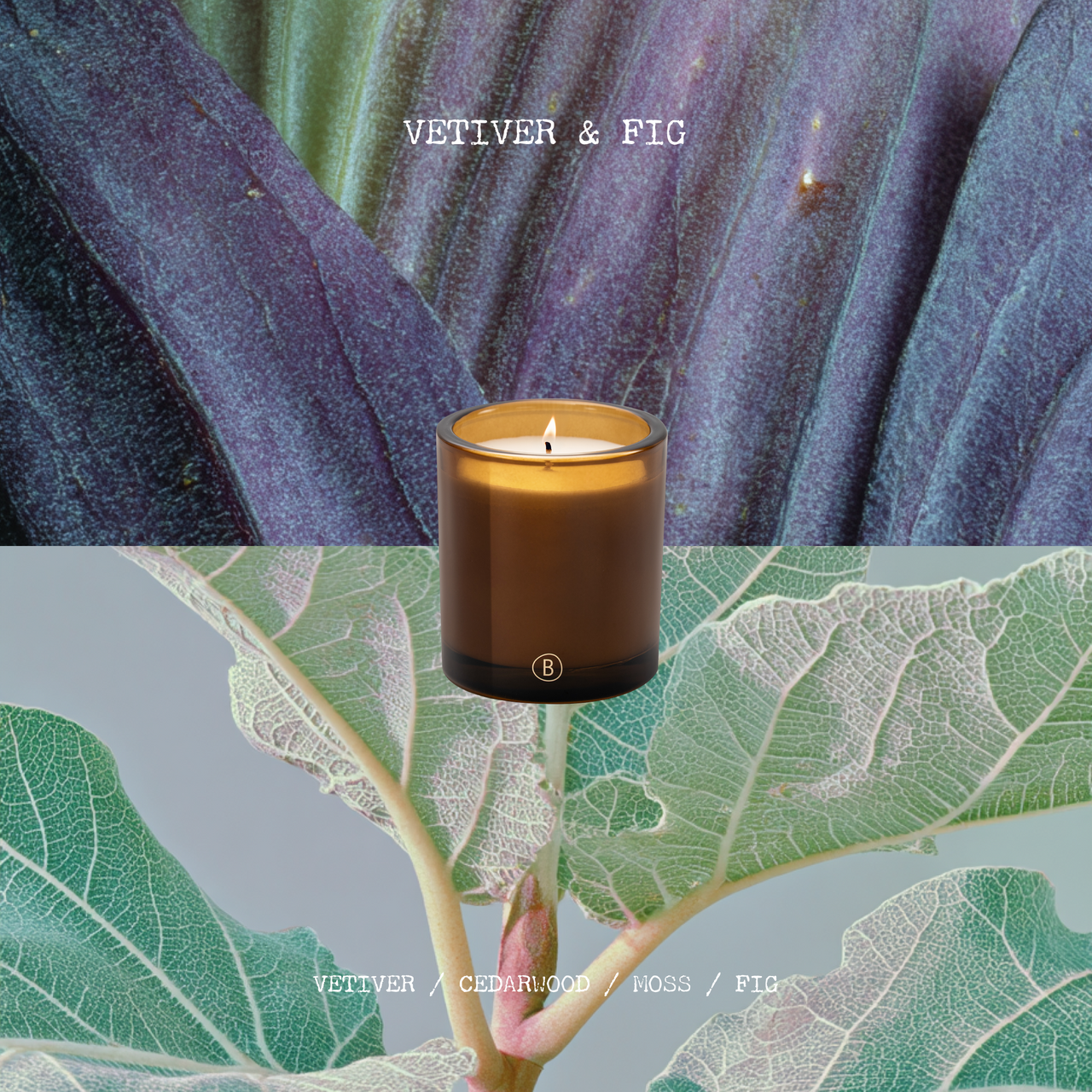 Vetiver & Fig Scented Candle