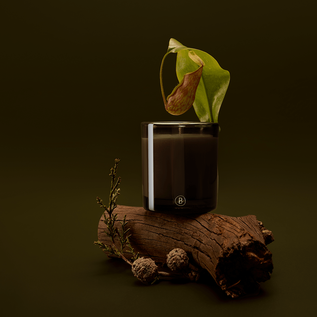 Bondi Breeze Scented Candle - THE GREAT OUTDOOR COLLECTION - Black Blaze