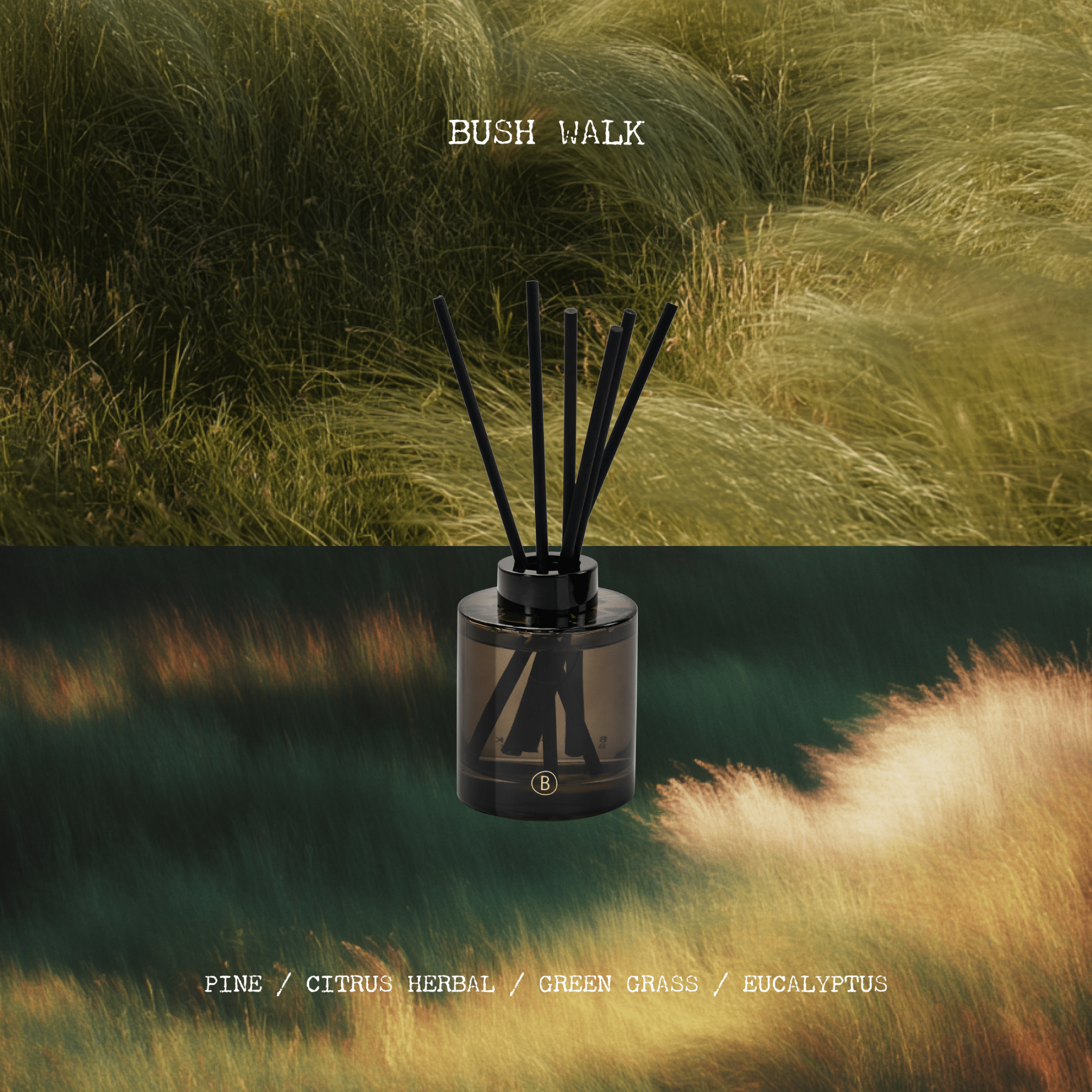 Bush Walk Reed Diffuser - DIFFUSER - Black Blaze
