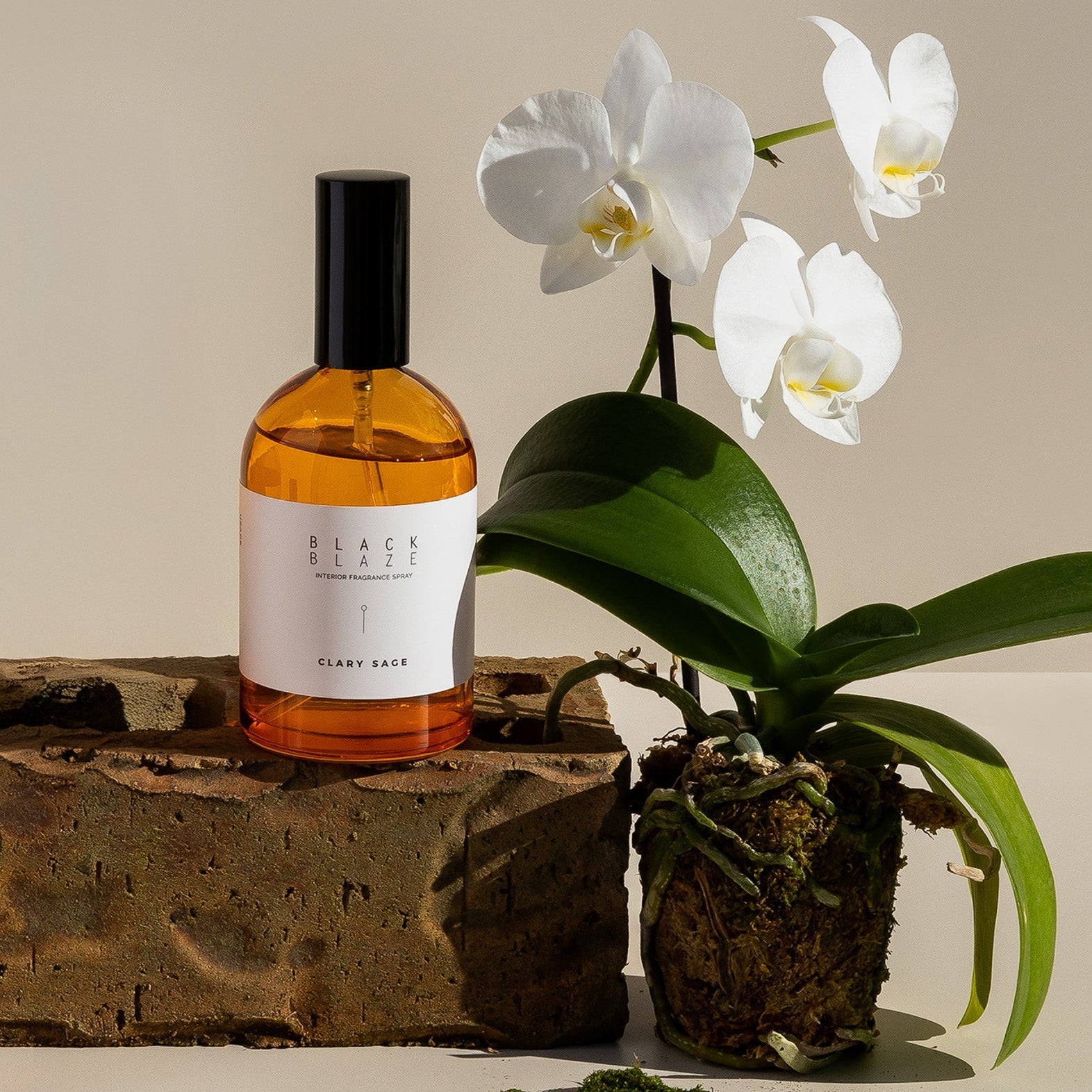 Clary Sage Interior Fragrance Spray - Interior Fragrance Spray - Black Blaze