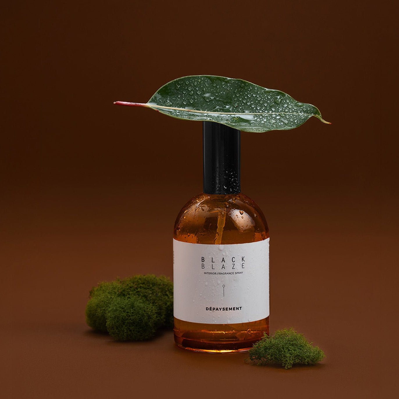 Dépaysement Interior Fragrance Spray - Interior Fragrance Spray - Black Blaze