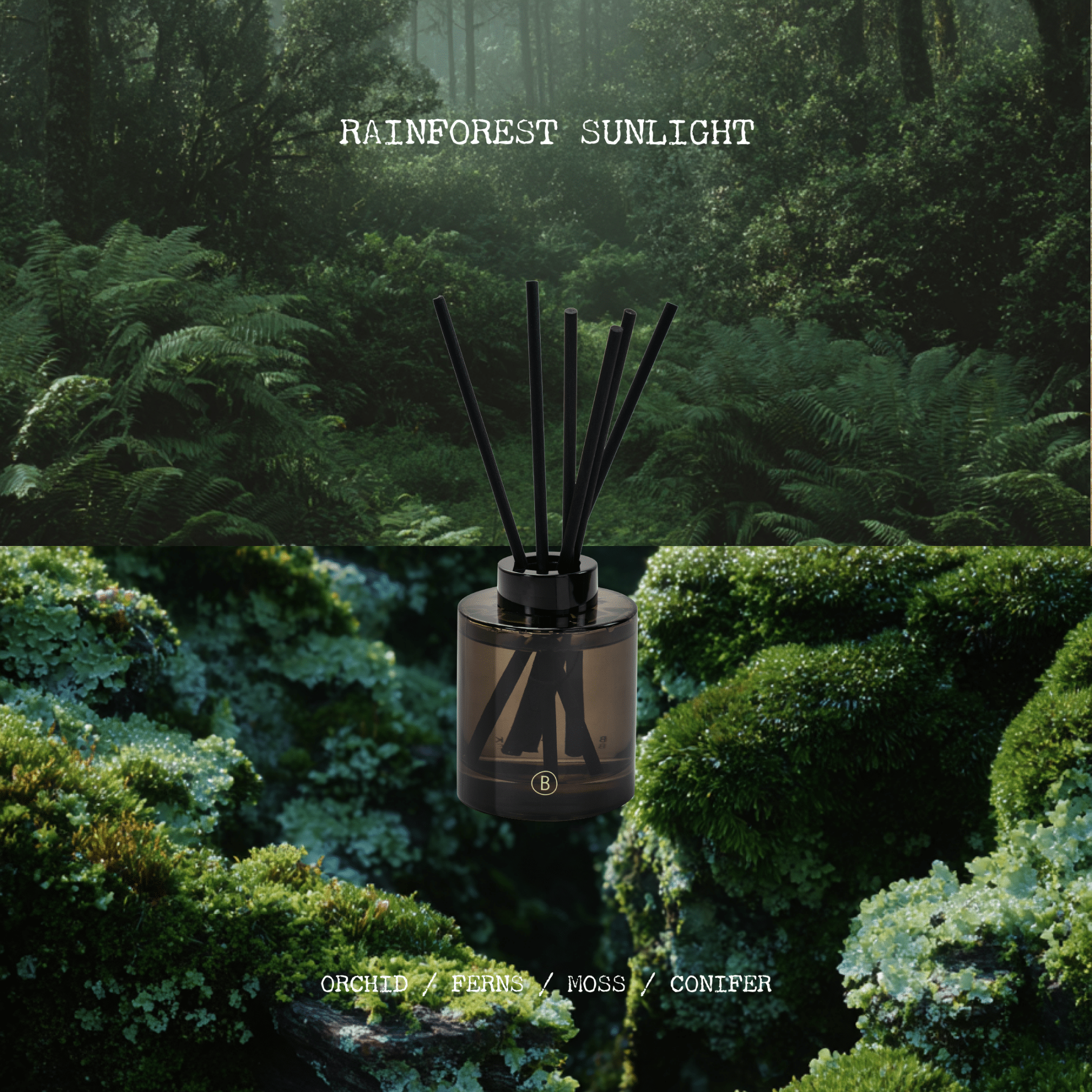 Rainforest Sunlight Reed Diffuser - DIFFUSER - Black Blaze