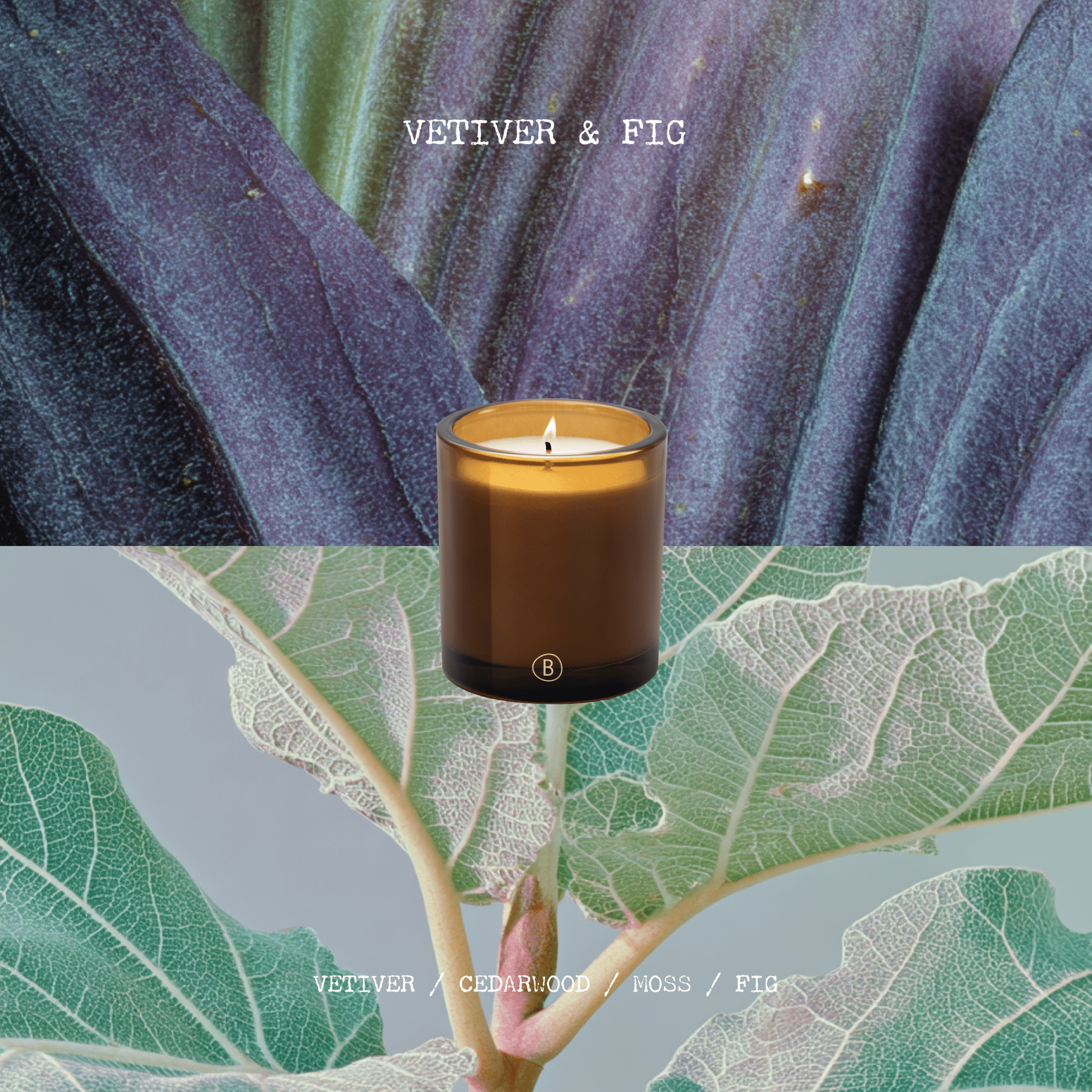 Vetiver & Fig Scented Candle - BLACK BLAZE - HOME CANDLE - BLACK BLAZE