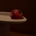 Seed Tray