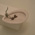 Seed Tray