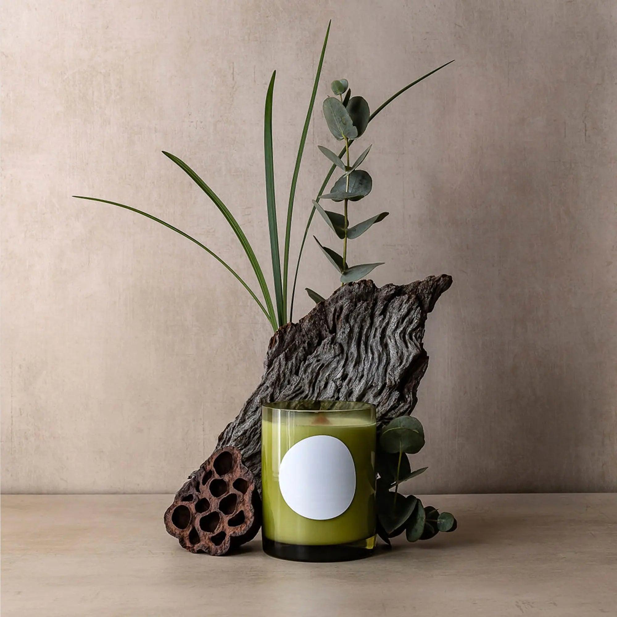 Bush Walk Scented Candle 300g - THE GREAT OUTDOOR COLLECTION - Black Blaze
