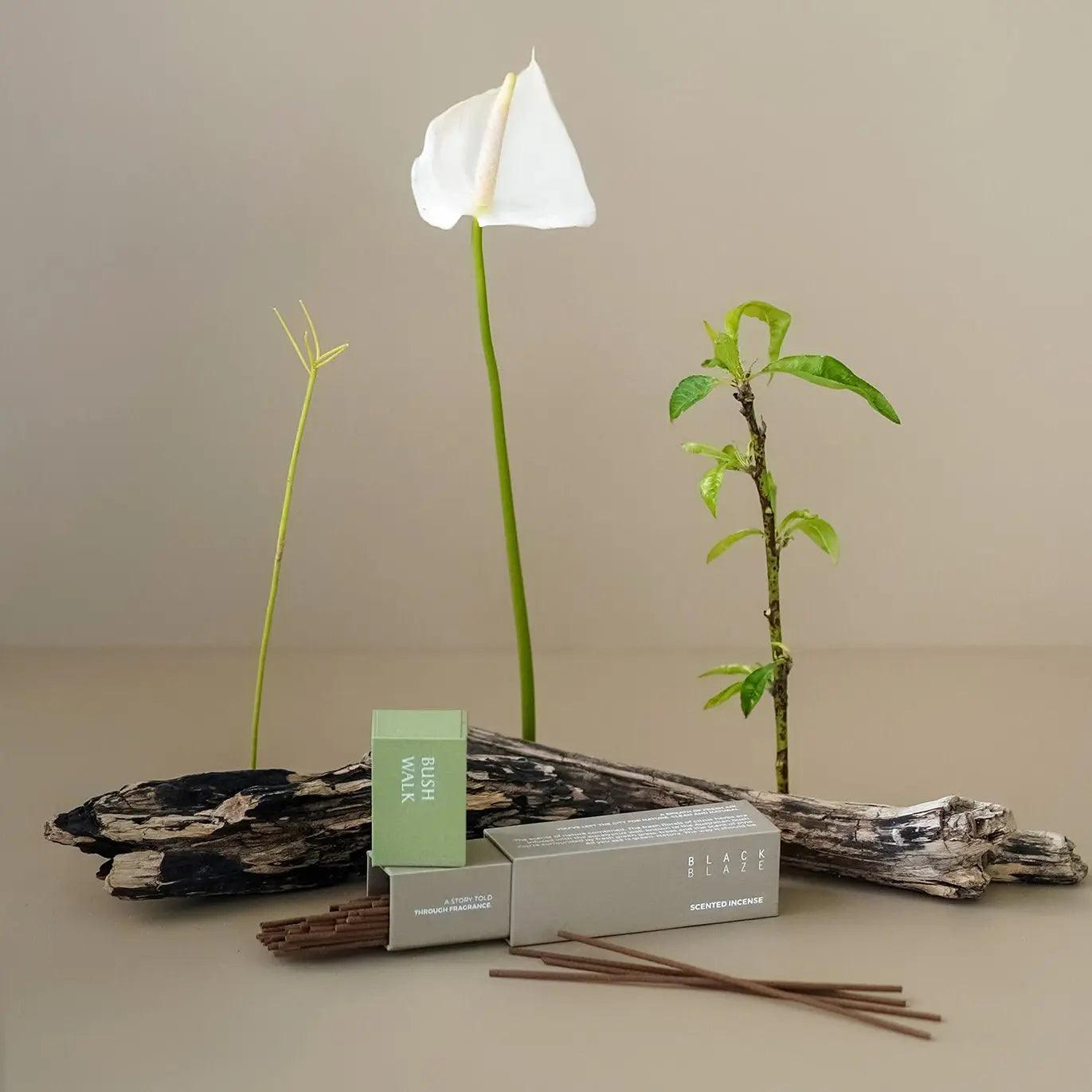 Bush Walk Scented Incense - Scented Incense - Black Blaze