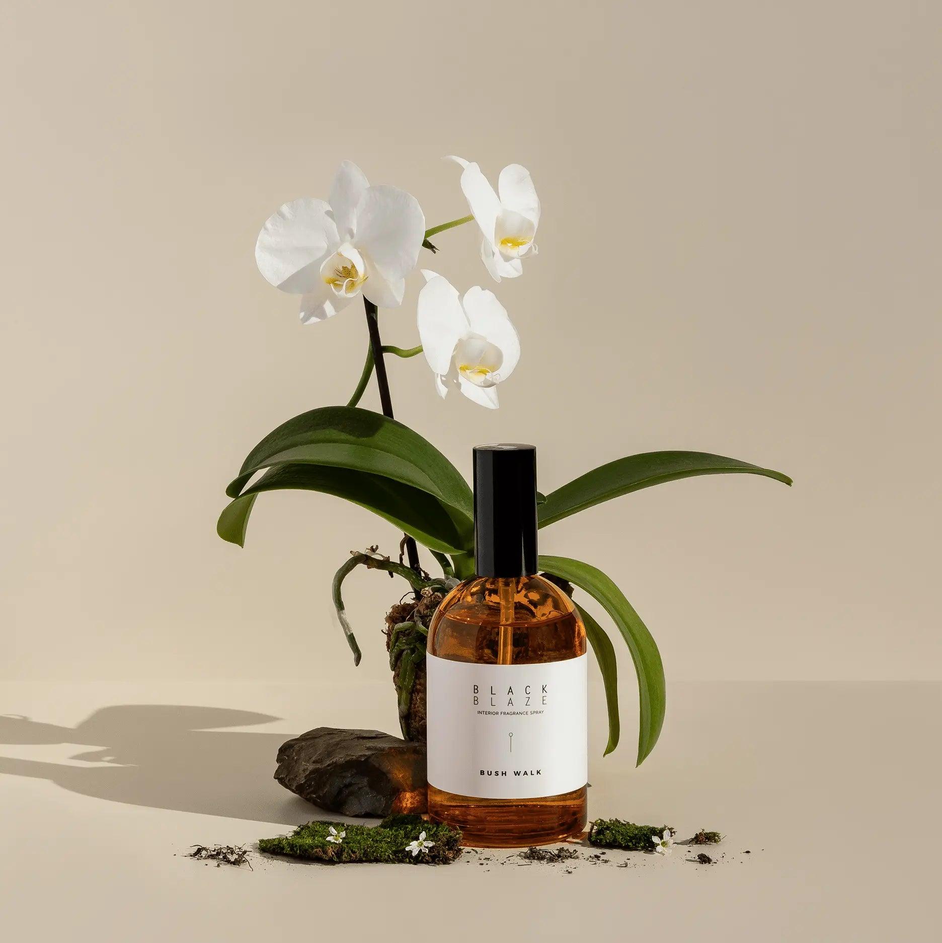 Rainforest Sunlight Interior Fragrance Spray - Interior Fragrance Spray - Black Blaze